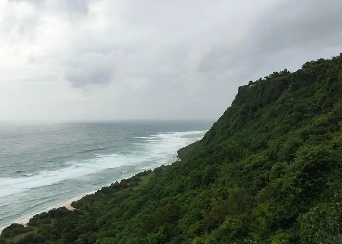 Lodge Nunggalan Octopus 2 *
